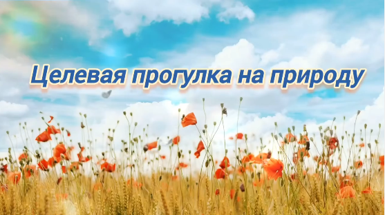 Целевая прогулка на луг