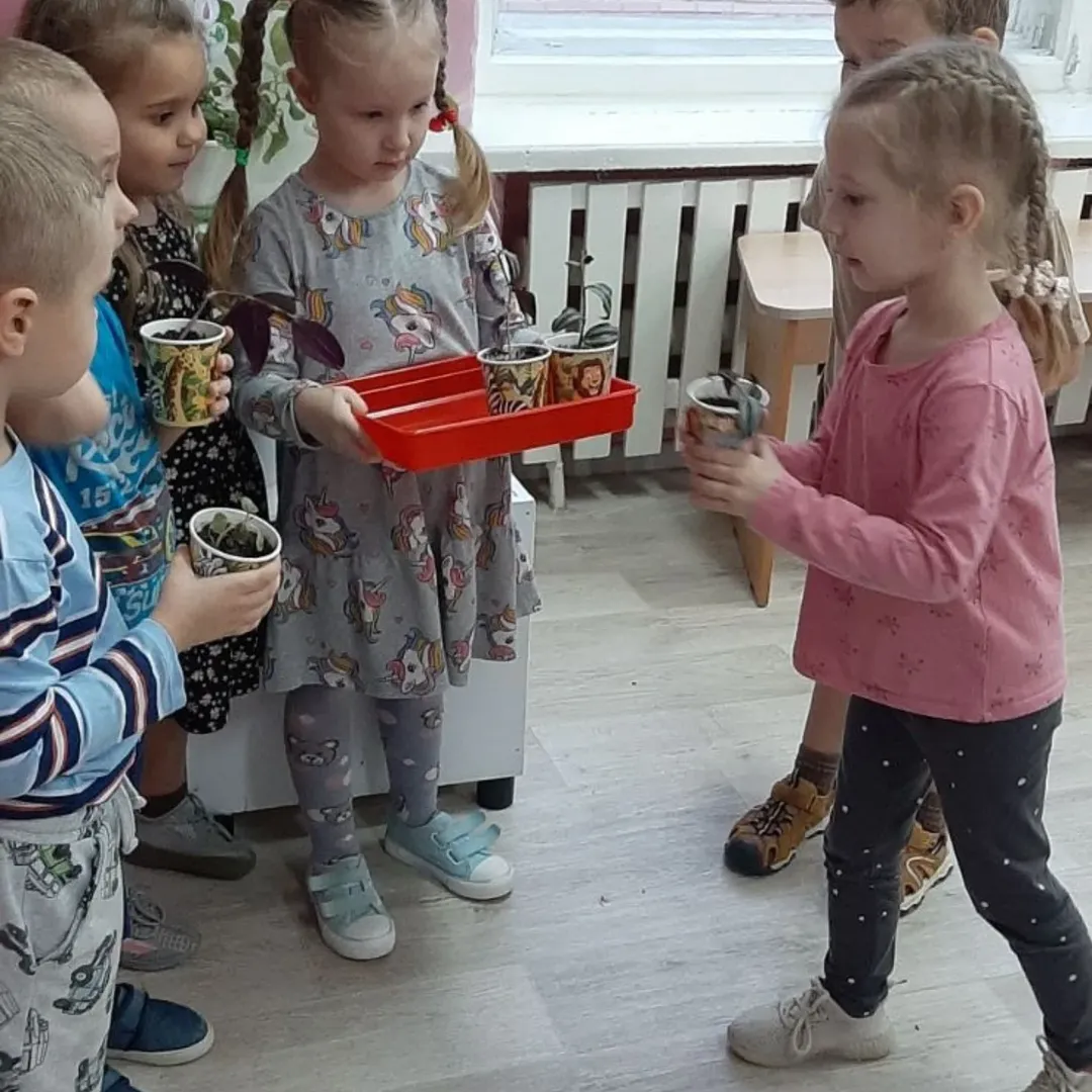 Акция «Вырасти зеленого друга»